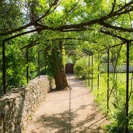 Bed & Breakfast Le Chateau D'uzer