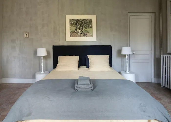 Le Chateau D'uzer 4*